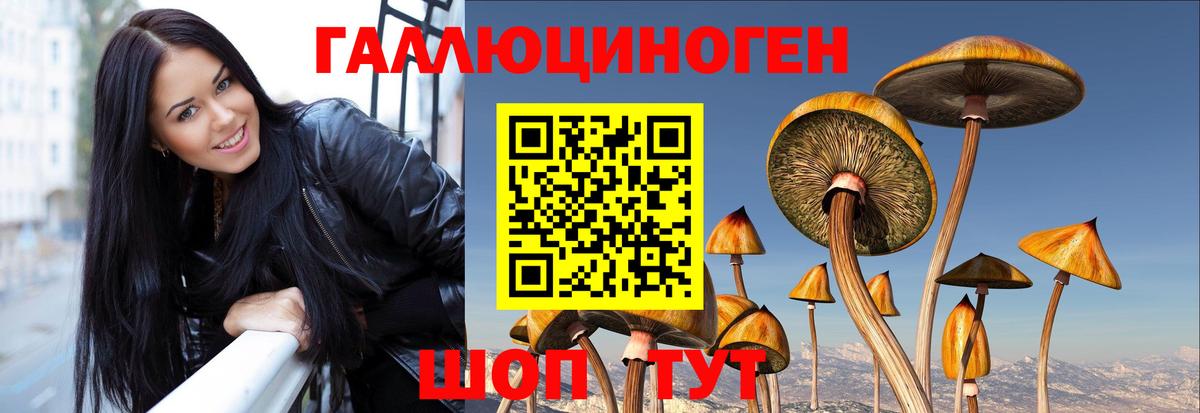 Псилоцибиновые грибы мухоморы  Вход с VPN  Рязань 